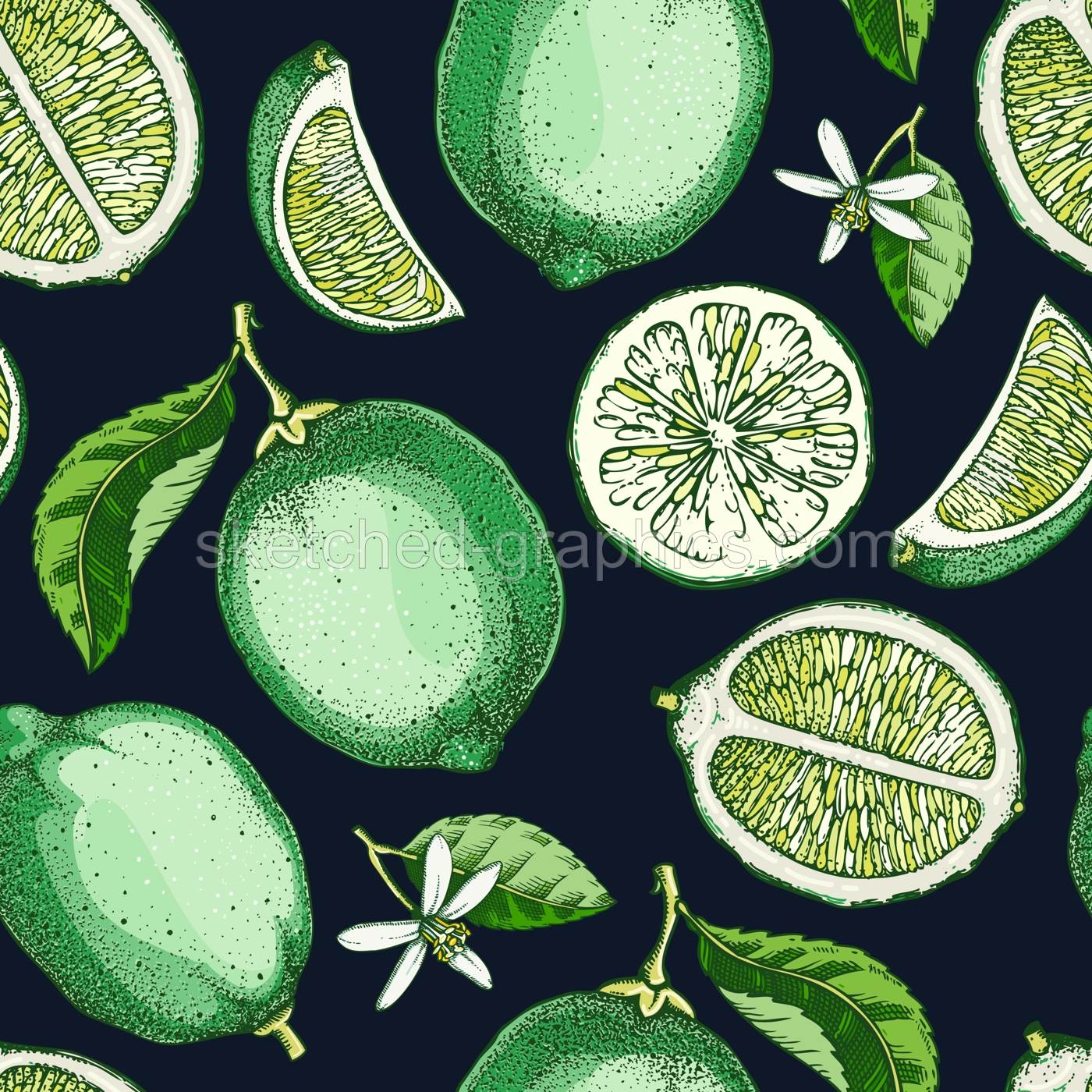 Lime fruit background. Citrus fruit sketches. Watercolor style botanical design. Exotic plants seamless pattern. Hand-drawn vector illustration. NOT AI generated Illustration